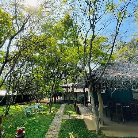 Kingfisher Resort Sigiriya Exterior foto