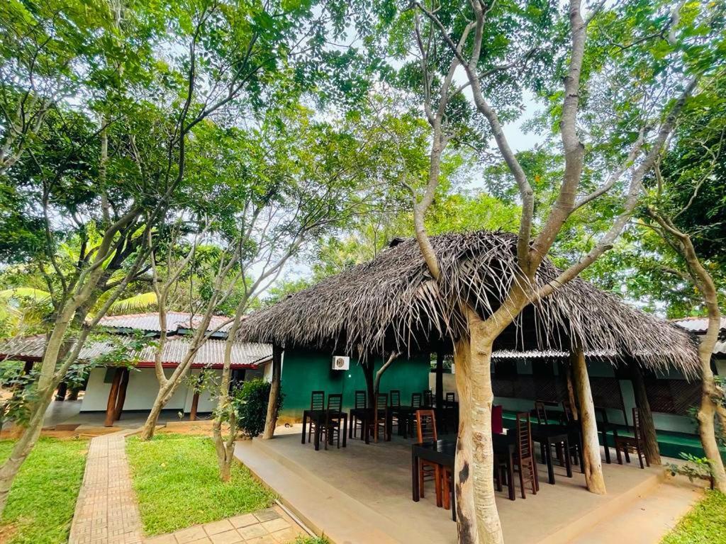 Kingfisher Resort Sigiriya Exterior foto