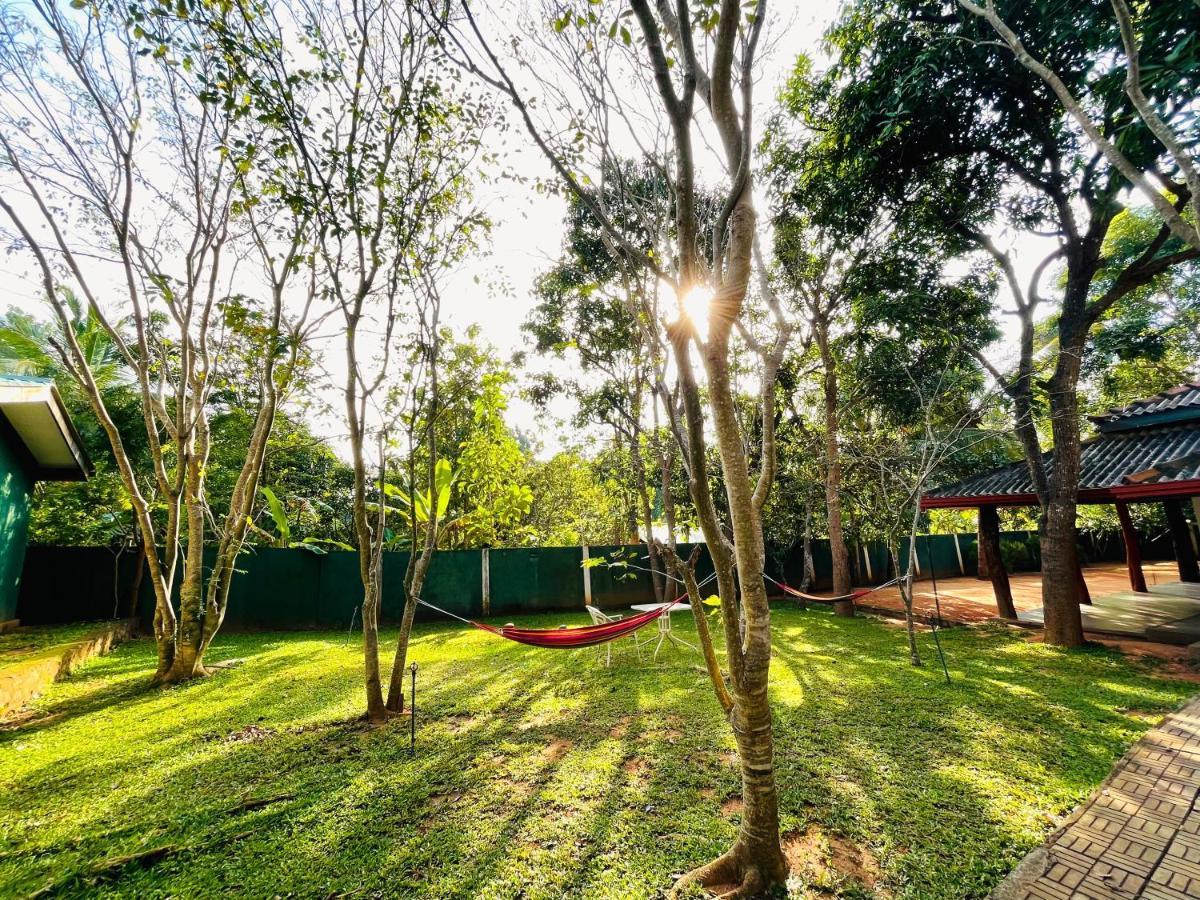 Kingfisher Resort Sigiriya Exterior foto
